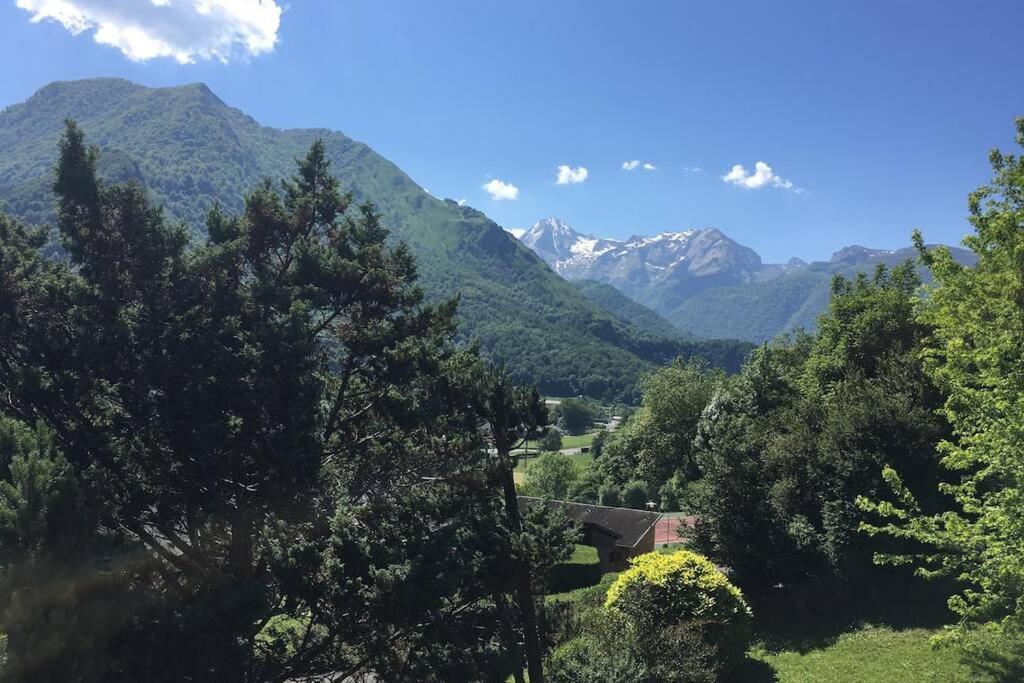 Chalet de l'Ours Brun, gîte 3 étoiles Gere-Belesten Exterior foto